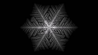 Snow Crystal