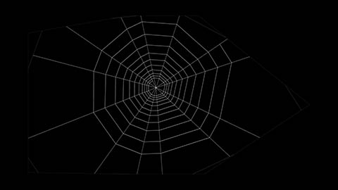 Spider Web